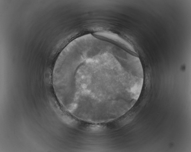 X0000115660453200912241402