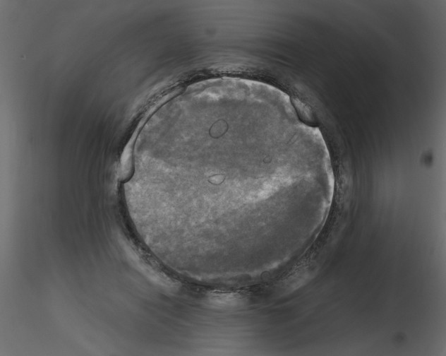 X0000115660454200912241402