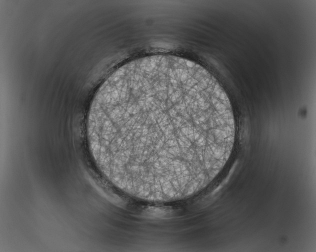 X0000115660455200912241402