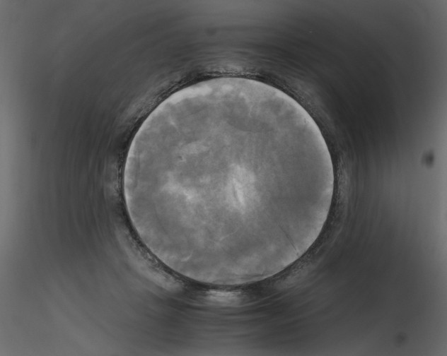 X0000115660457200912241402