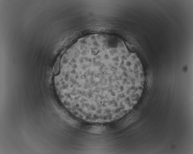 X0000115660458200912241402