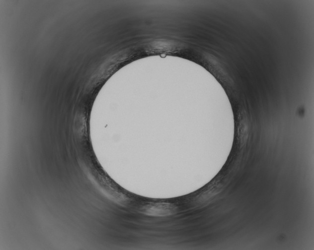 X0000115660459200912241402