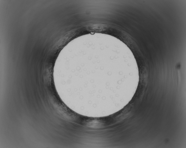 X0000115660460200912241402