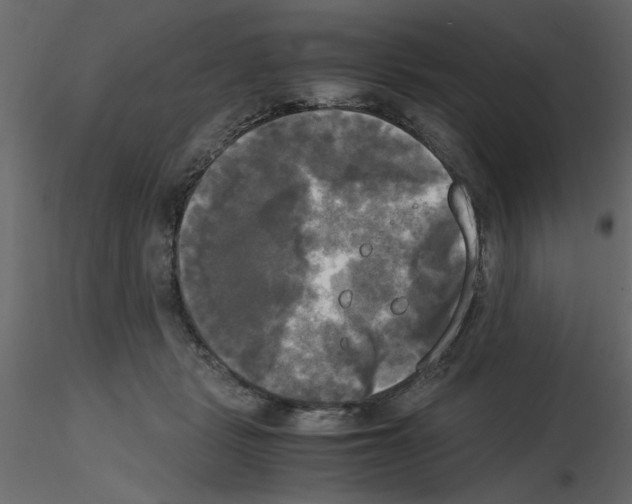 X0000115660461200912241402