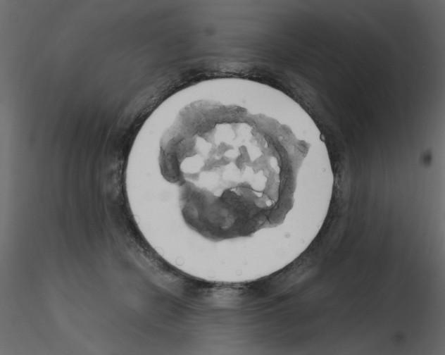 X0000115660462200912241402