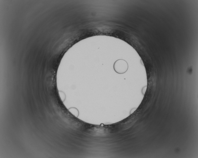 X0000115660464200912241402