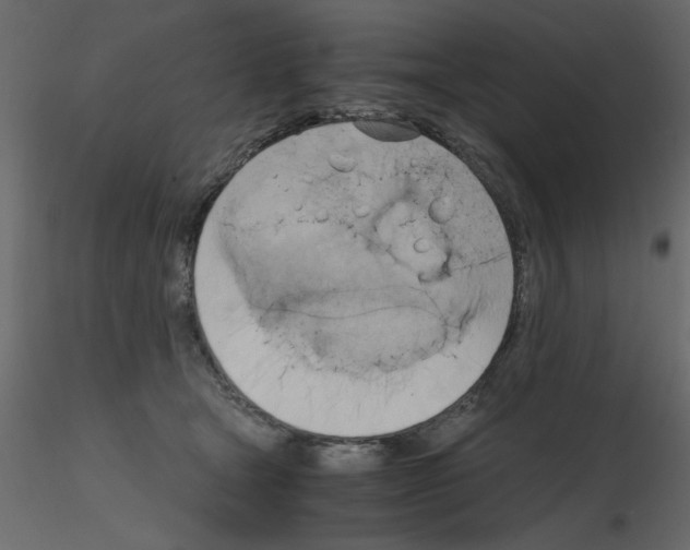 X0000115660465200912241402