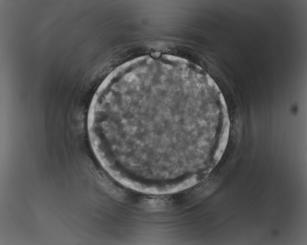 X0000115660466200912241402