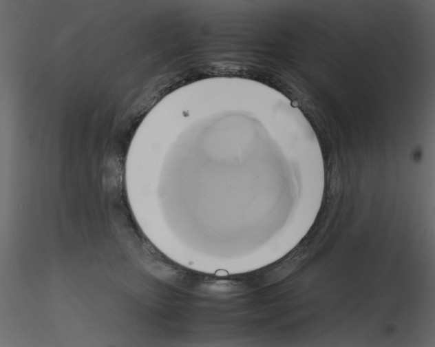 X0000115660467200912241402