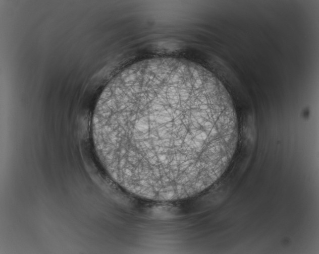 X0000115660468200912241402