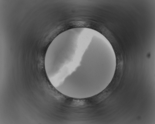 X0000115660469200912241402