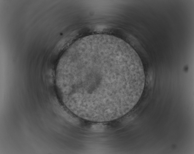 X0000115660470200912241402