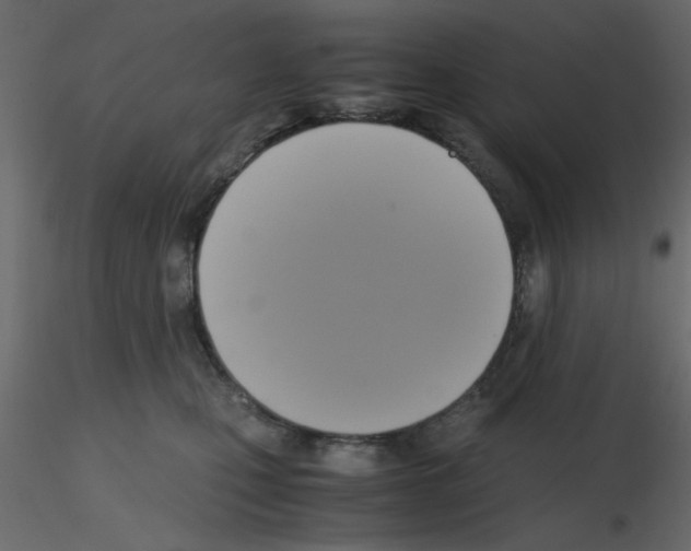 X0000115660471200912241402