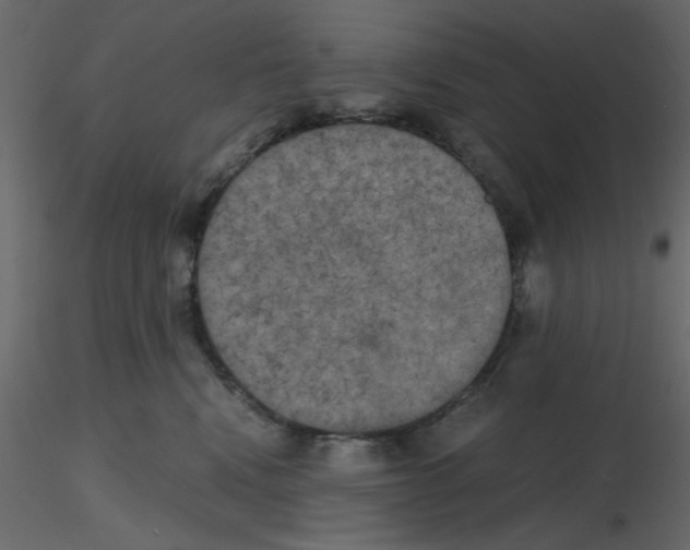 X0000115660472200912241402