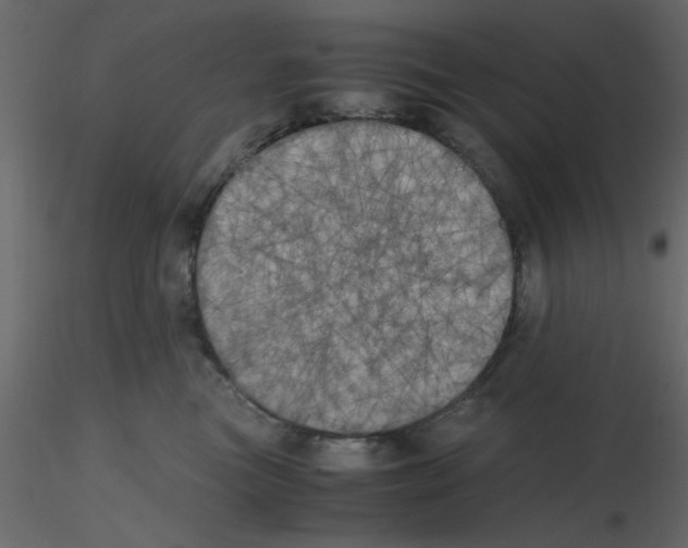 X0000115660473200912241402