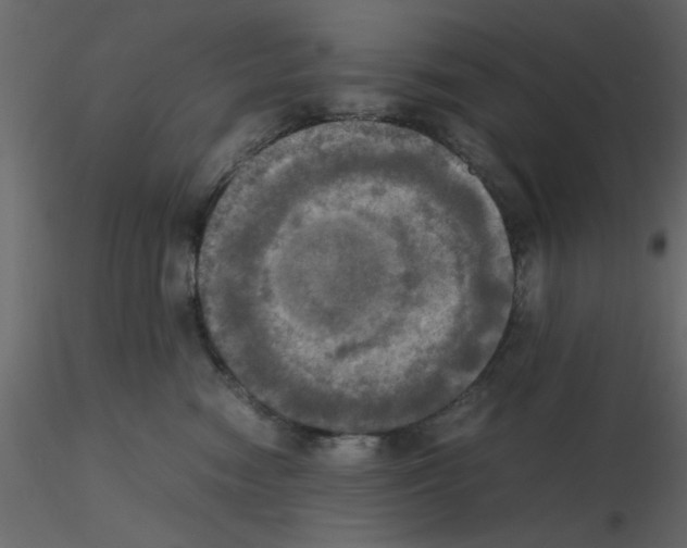 X0000115660474200912241402