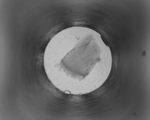 X0000115660475200912241402