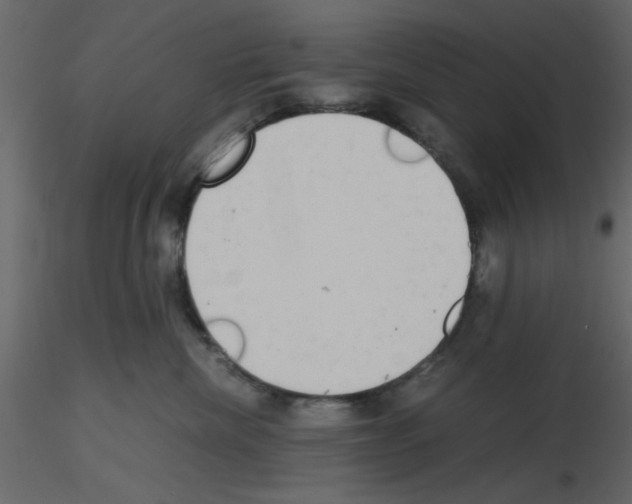 X0000115660476200912241402