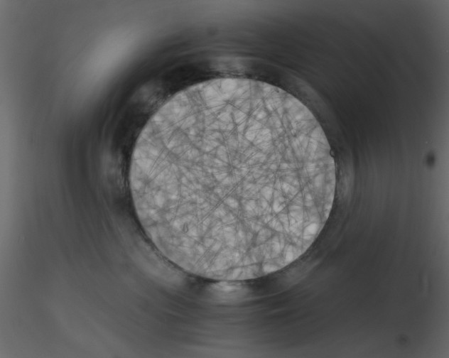 X0000115660477200912241402