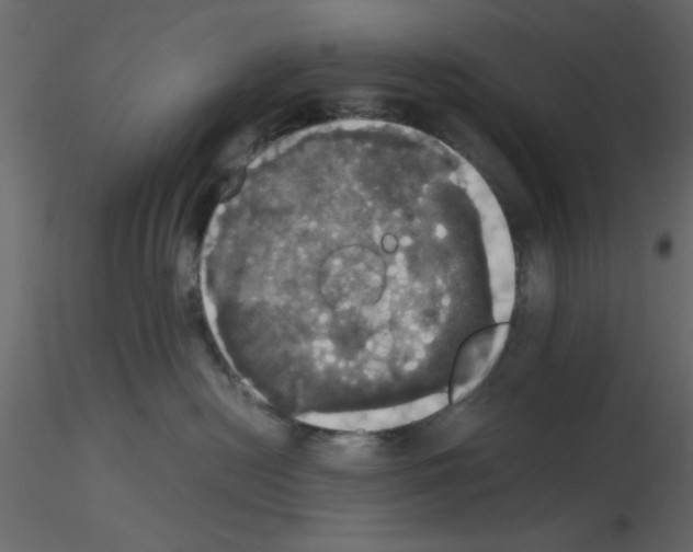 X0000115660478200912241402