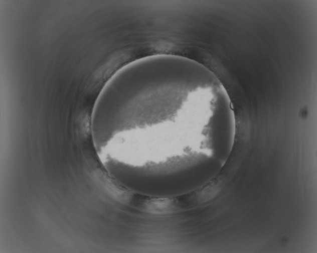 X0000115660479200912241402