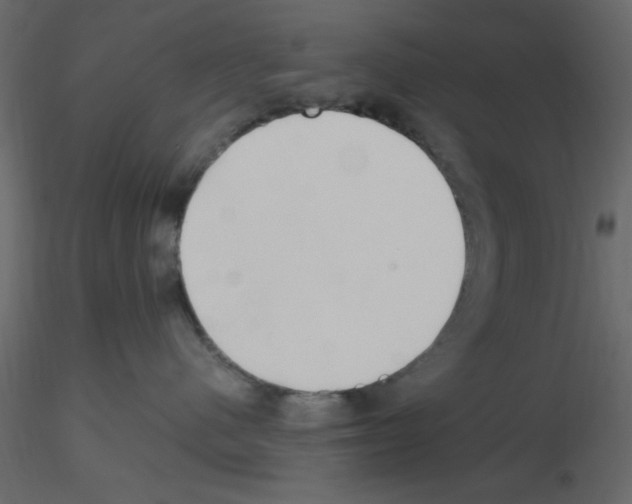 X0000115660480200912241402