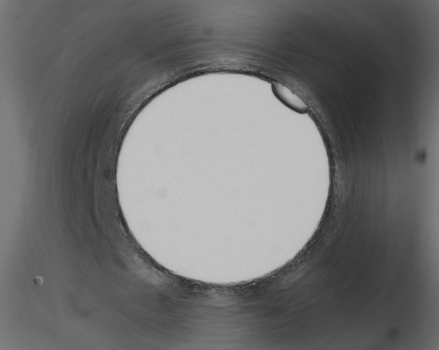 X0000115660481200912241402