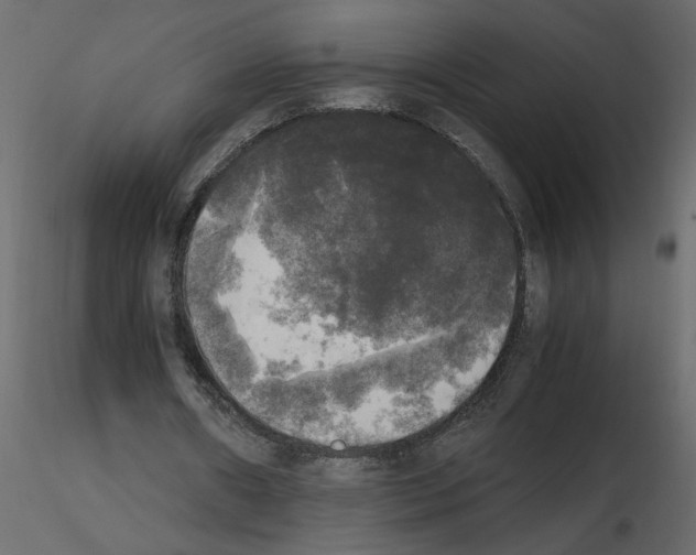 X0000115660482200912241402