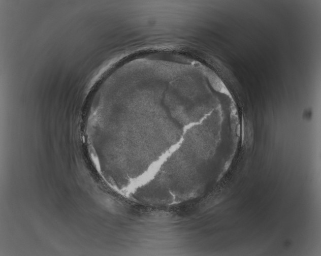 X0000115660483200912241402