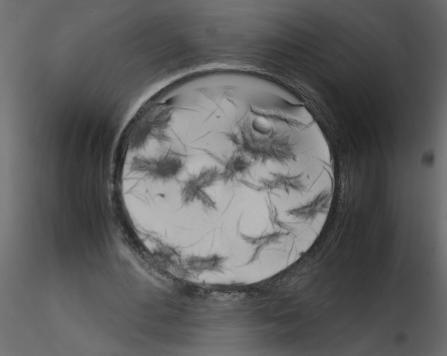 X0000115660484200912241402