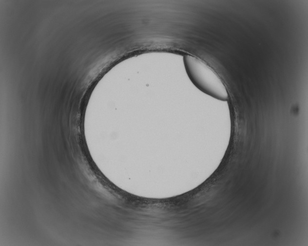 X0000115660485200912241402