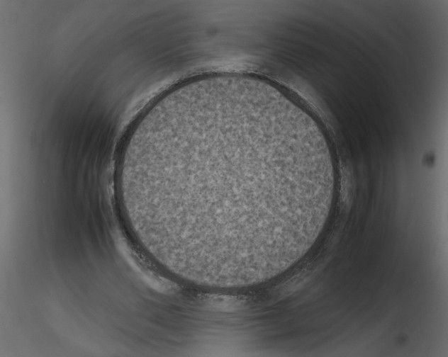 X0000115660486200912241402