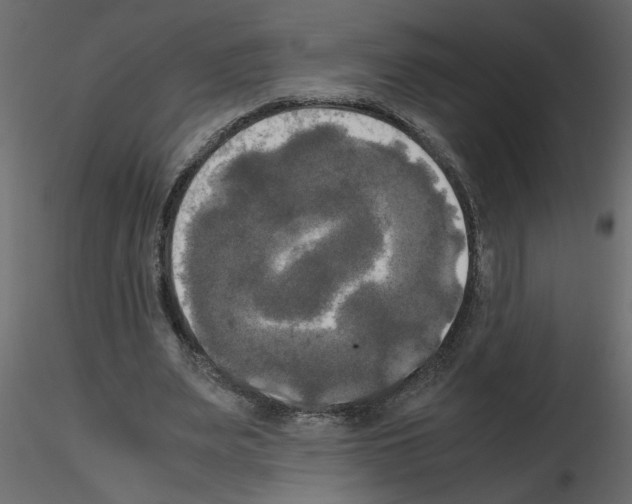 X0000115660487200912241402