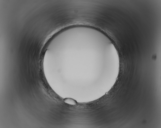 X0000115660488200912241402