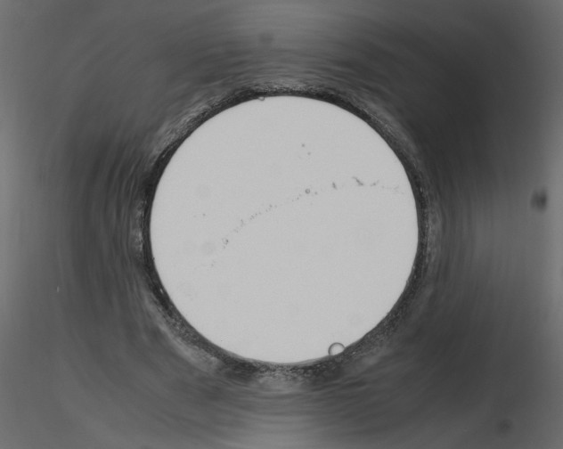 X0000115660489200912241402