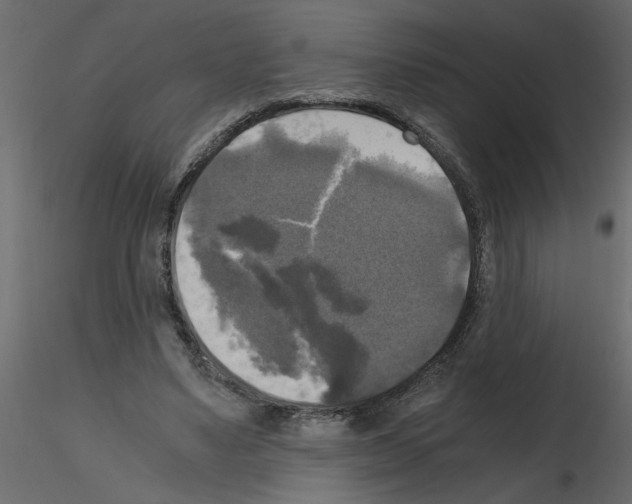 X0000115660491200912241402