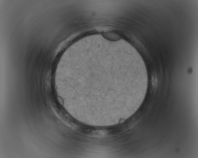 X0000115660492200912241402