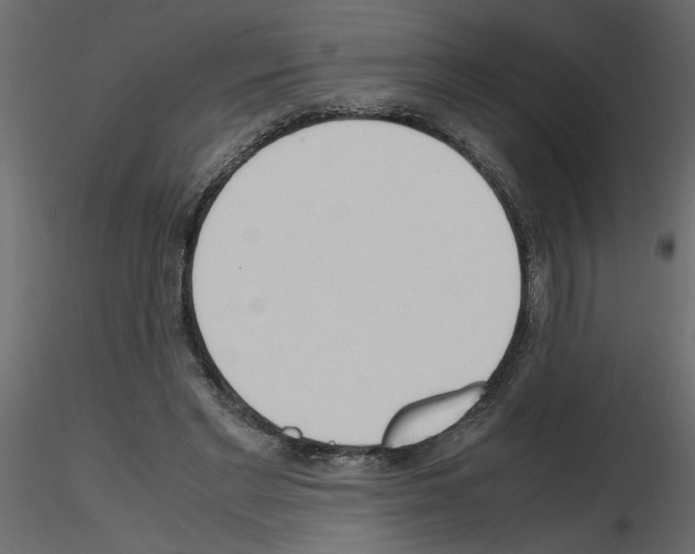 X0000115660493200912241402