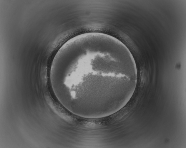 X0000115660494200912241402