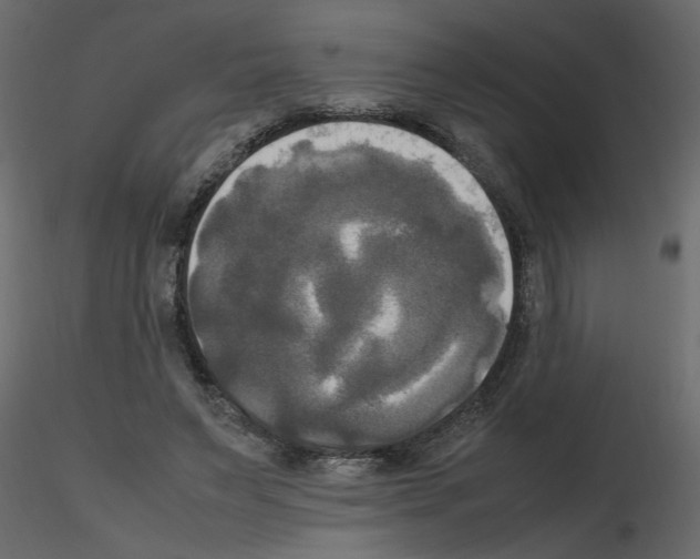 X0000115660495200912241402