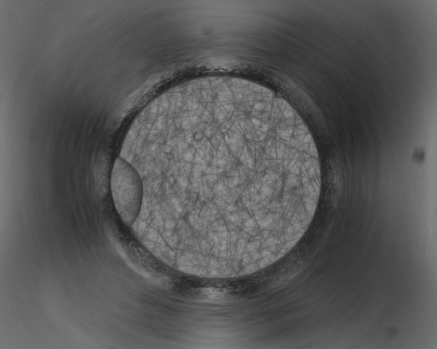 X0000115660496200912241402