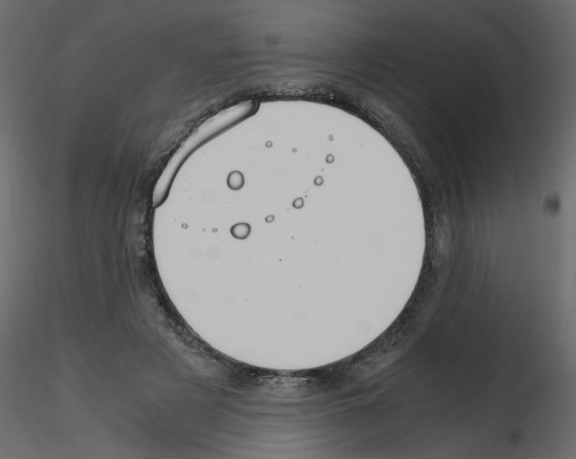 X0000115660497200912241402