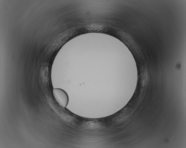 X0000115660498200912241402