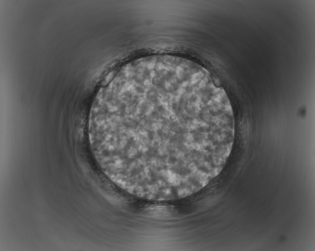 X0000115660499200912241402