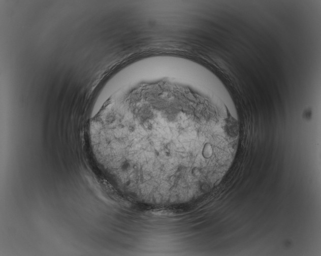 X0000115660500200912241402