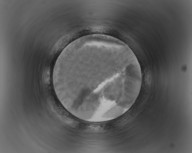 X0000115660502200912241402