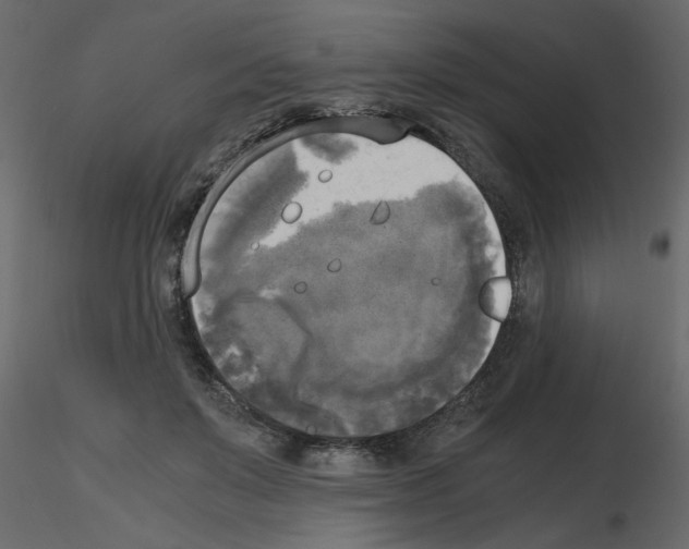 X0000115660503200912241402