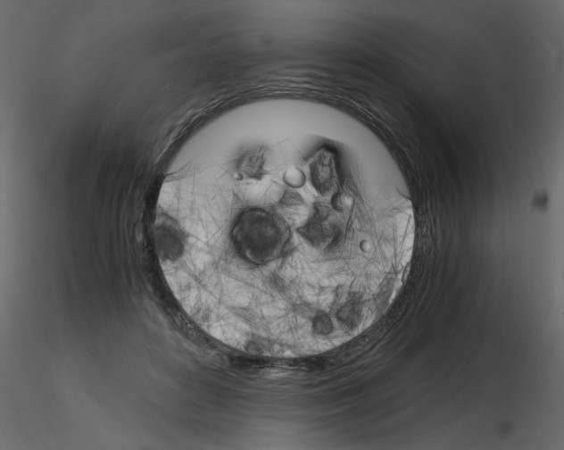 X0000115660504200912241402