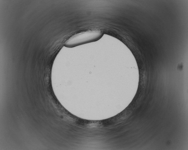 X0000115660505200912241401