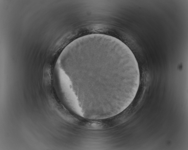 X0000115660506200912241401